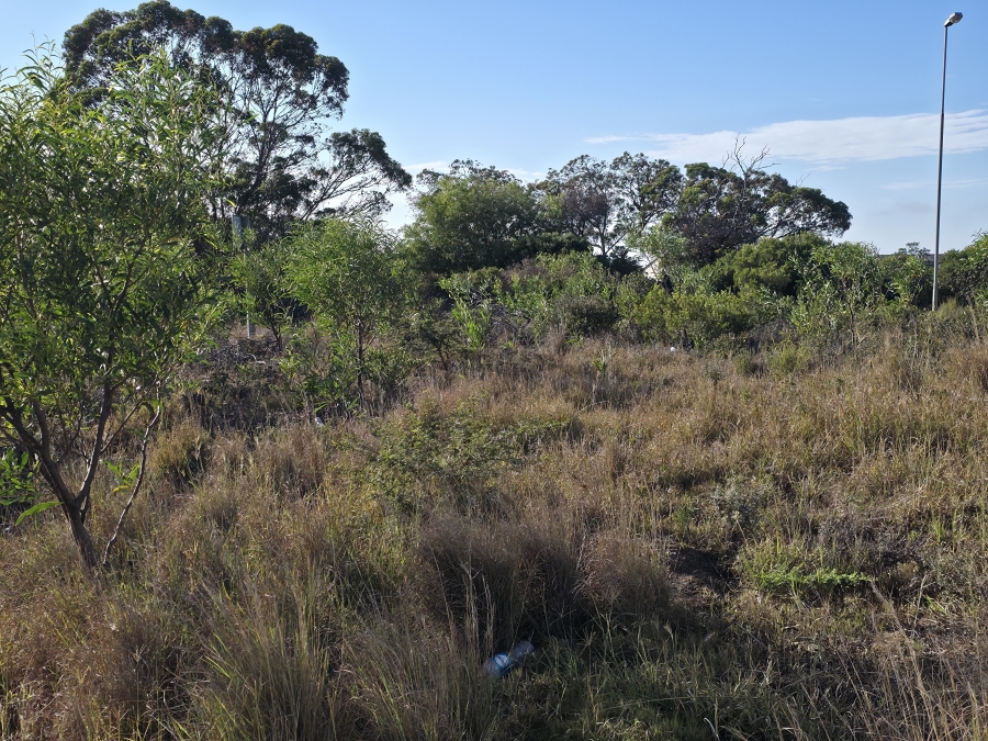 0 Bedroom Property for Sale in Wavecrest Eastern Cape